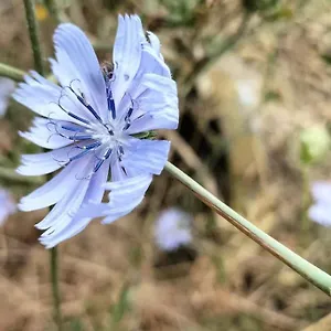 Longere Bretagne Hébergement de vacances